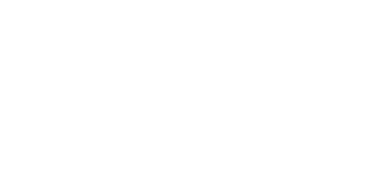 Pal Zileri – Optical